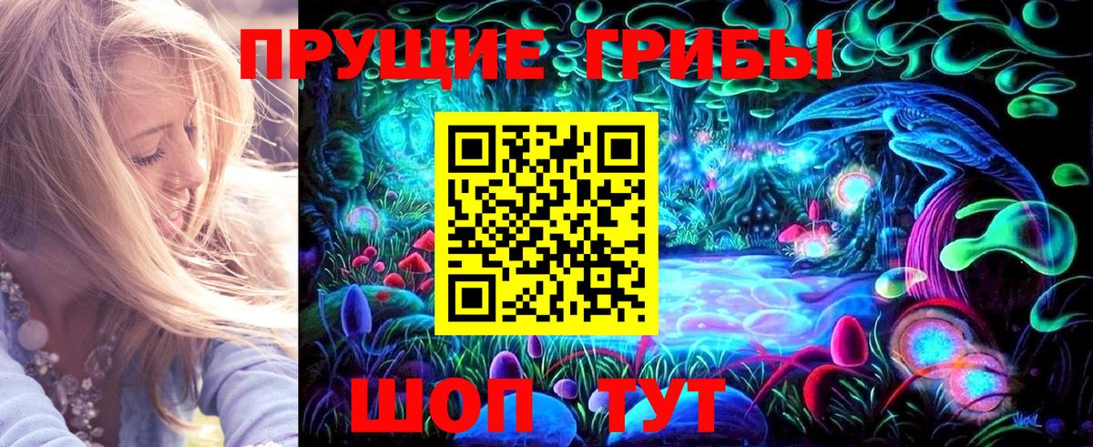 Галлюциногенные грибы Psilocybine cubensis Красноуфимск